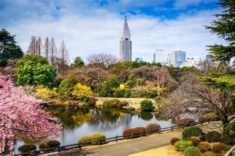 lfbets rj,Conheça 10 parques maravilhosos de Tokyo 